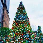 ヒメ日記 2025/12/22 14:50 投稿 にこ Sakura Spa