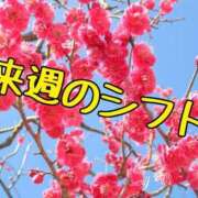 ヒメ日記 2025/03/08 08:07 投稿 芹沢 美咲 30代40代50代と遊ぶなら博多人妻専科24時
