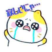 ヒメ日記 2025/04/24 17:23 投稿 芹沢 美咲 30代40代50代と遊ぶなら博多人妻専科24時