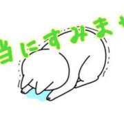 ヒメ日記 2025/10/14 06:24 投稿 芹沢 美咲 30代40代50代と遊ぶなら博多人妻専科24時