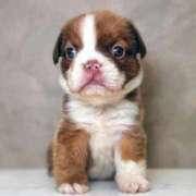 ヒメ日記 2026/02/18 22:46 投稿 佐伯（さえき） 熟女の風俗最終章 名古屋店