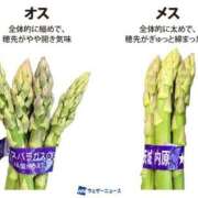 ヒメ日記 2026/05/24 14:32 投稿 佐伯（さえき） 熟女の風俗最終章 名古屋店