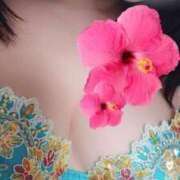 ヒメ日記 2025/04/25 00:22 投稿 ふうか 逢って30秒で即尺