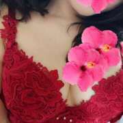 ヒメ日記 2025/07/03 15:08 投稿 ふうか 逢って30秒で即尺