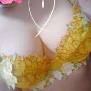 ヒメ日記 2025/07/16 00:10 投稿 ふうか 逢って30秒で即尺