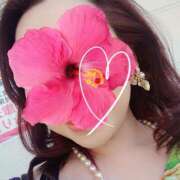 ヒメ日記 2025/08/26 12:08 投稿 ふうか 逢って30秒で即尺