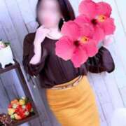 ヒメ日記 2025/11/12 01:00 投稿 ふうか 逢って30秒で即尺