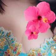 ヒメ日記 2026/01/27 14:27 投稿 ふうか 逢って30秒で即尺