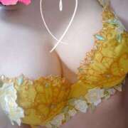 ヒメ日記 2026/02/02 11:36 投稿 ふうか 逢って30秒で即尺