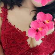 ヒメ日記 2026/04/07 12:38 投稿 ふうか 逢って30秒で即尺