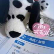 ヒメ日記 2025/08/27 08:07 投稿 らら★初風俗現役キャンパス美少女 ViVi-ヴィヴィ-(金津園)