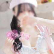 ヒメ日記 2026/04/22 08:18 投稿 らら★初風俗現役キャンパス美少女 ViVi-ヴィヴィ-(金津園)