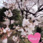 ヒメ日記 2025/04/04 07:19 投稿 永作 錦糸町おかあさん