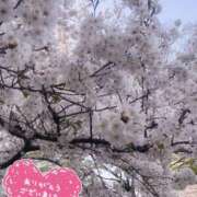 ヒメ日記 2025/04/04 20:16 投稿 永作 錦糸町おかあさん