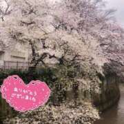 ヒメ日記 2025/04/12 18:51 投稿 永作 錦糸町おかあさん