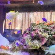 ヒメ日記 2025/05/06 12:05 投稿 永作 錦糸町おかあさん