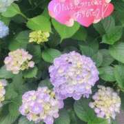 ヒメ日記 2025/05/30 16:51 投稿 永作 錦糸町おかあさん