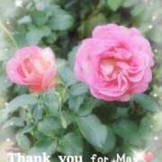 ヒメ日記 2025/05/31 20:02 投稿 永作 錦糸町おかあさん