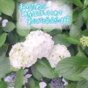 ヒメ日記 2025/06/07 20:52 投稿 永作 錦糸町おかあさん