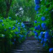 ヒメ日記 2025/06/16 20:35 投稿 永作 錦糸町おかあさん