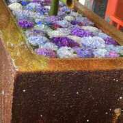 ヒメ日記 2025/06/29 08:51 投稿 永作 錦糸町おかあさん