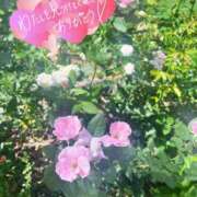 ヒメ日記 2025/07/02 19:32 投稿 永作 錦糸町おかあさん