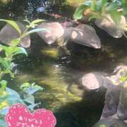 ヒメ日記 2025/07/06 20:21 投稿 永作 錦糸町おかあさん