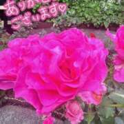 ヒメ日記 2025/08/18 18:50 投稿 永作 錦糸町おかあさん