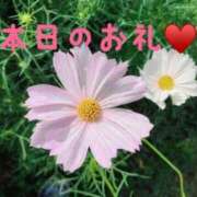 ヒメ日記 2025/10/09 16:50 投稿 永作 錦糸町おかあさん