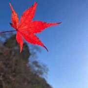 永作 霜月の感謝ෆ˚*【お知らせ】 錦糸町おかあさん