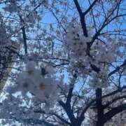 ヒメ日記 2026/03/30 19:44 投稿 永作 錦糸町おかあさん