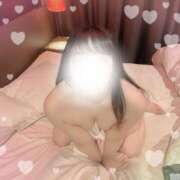 ヒメ日記 2025/04/17 09:26 投稿 あいら チューリップ福井別館