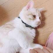 ヒメ日記 2025/05/10 19:36 投稿 マリン ヴィーナス(金津園)