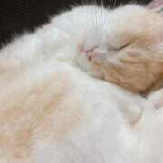 ヒメ日記 2025/05/14 15:42 投稿 マリン ヴィーナス(金津園)