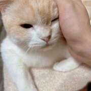 ヒメ日記 2025/06/23 22:51 投稿 マリン ヴィーナス(金津園)