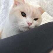 ヒメ日記 2025/08/21 18:36 投稿 マリン ヴィーナス(金津園)