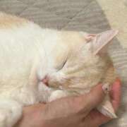 ヒメ日記 2025/10/11 00:18 投稿 マリン ヴィーナス(金津園)