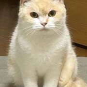 ヒメ日記 2026/04/14 17:15 投稿 マリン ヴィーナス(金津園)