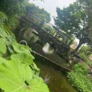 ヒメ日記 2025/09/20 16:01 投稿 サヤカARR 甲府人妻隊