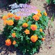 ヒメ日記 2025/09/24 19:33 投稿 サヤカARR 甲府人妻隊