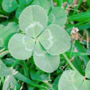 ヒメ日記 2025/09/25 20:17 投稿 サヤカARR 甲府人妻隊