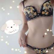 ヒメ日記 2025/02/20 16:31 投稿 えみり しろうさぎ