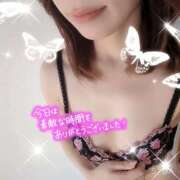 ヒメ日記 2025/02/22 01:51 投稿 えみり しろうさぎ