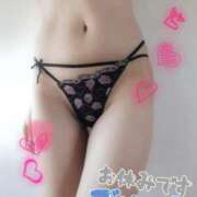 ヒメ日記 2025/07/02 11:13 投稿 えみり しろうさぎ