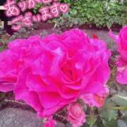 ヒメ日記 2025/08/18 18:42 投稿 永作 西船橋おかあさん