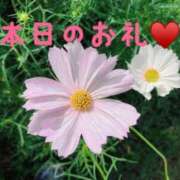 ヒメ日記 2025/10/09 16:42 投稿 永作 西船橋おかあさん