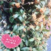 ヒメ日記 2025/10/26 19:26 投稿 永作 西船橋おかあさん