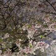 永作 昨夜＆本日のお礼♥️ 西船橋おかあさん