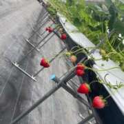 のぞみ 🙇‍♀️💓 鹿児島ちゃんこ 天文館店
