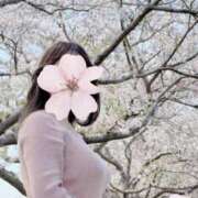 ヒメ日記 2026/04/19 13:48 投稿 穂村 ことな Men's relaxation VEGA